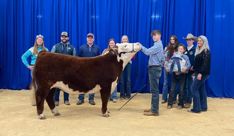 Hays County Youth Livestock Show