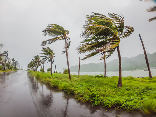 Insurance and Hurricane Preparedness: Strengthening Your Financial Safety Net